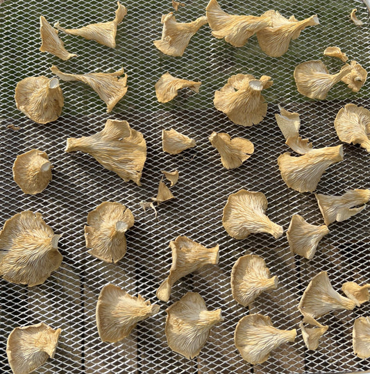 How To Prepare Dried Mushrooms