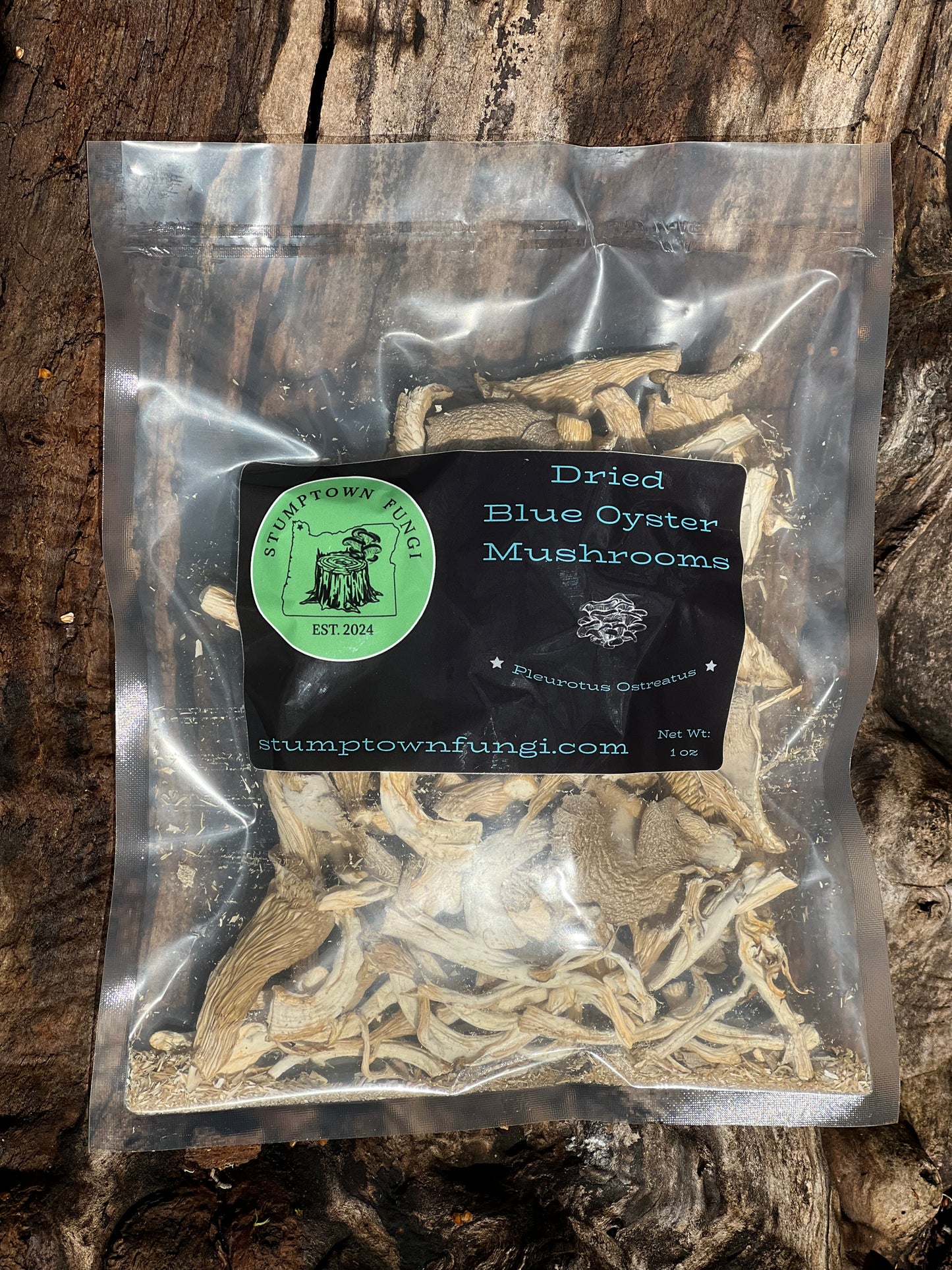Dried Blue Oyster Mushrooms