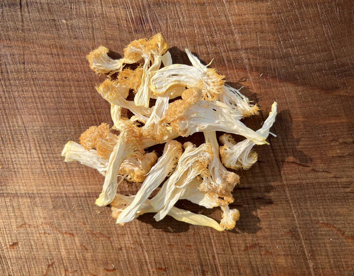 Dried Lion's Mane Mushrooms