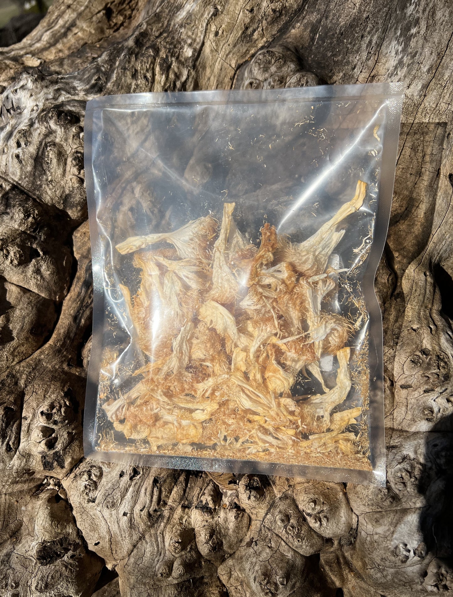 Dried Lion's Mane Mushrooms