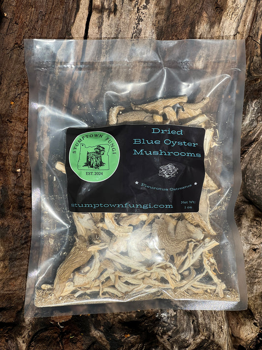 Dried Blue Oyster Mushrooms