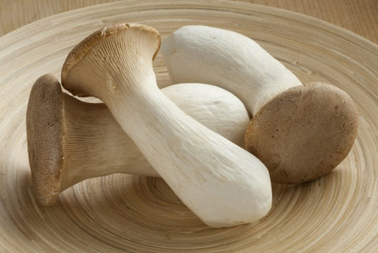 Dried King Trumpet Mushrooms