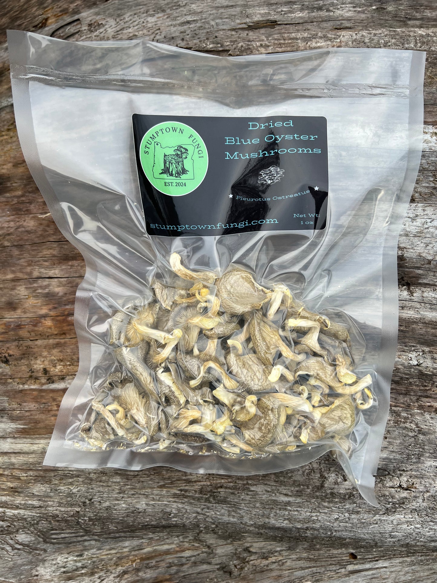 Dried Blue Oyster Mushrooms