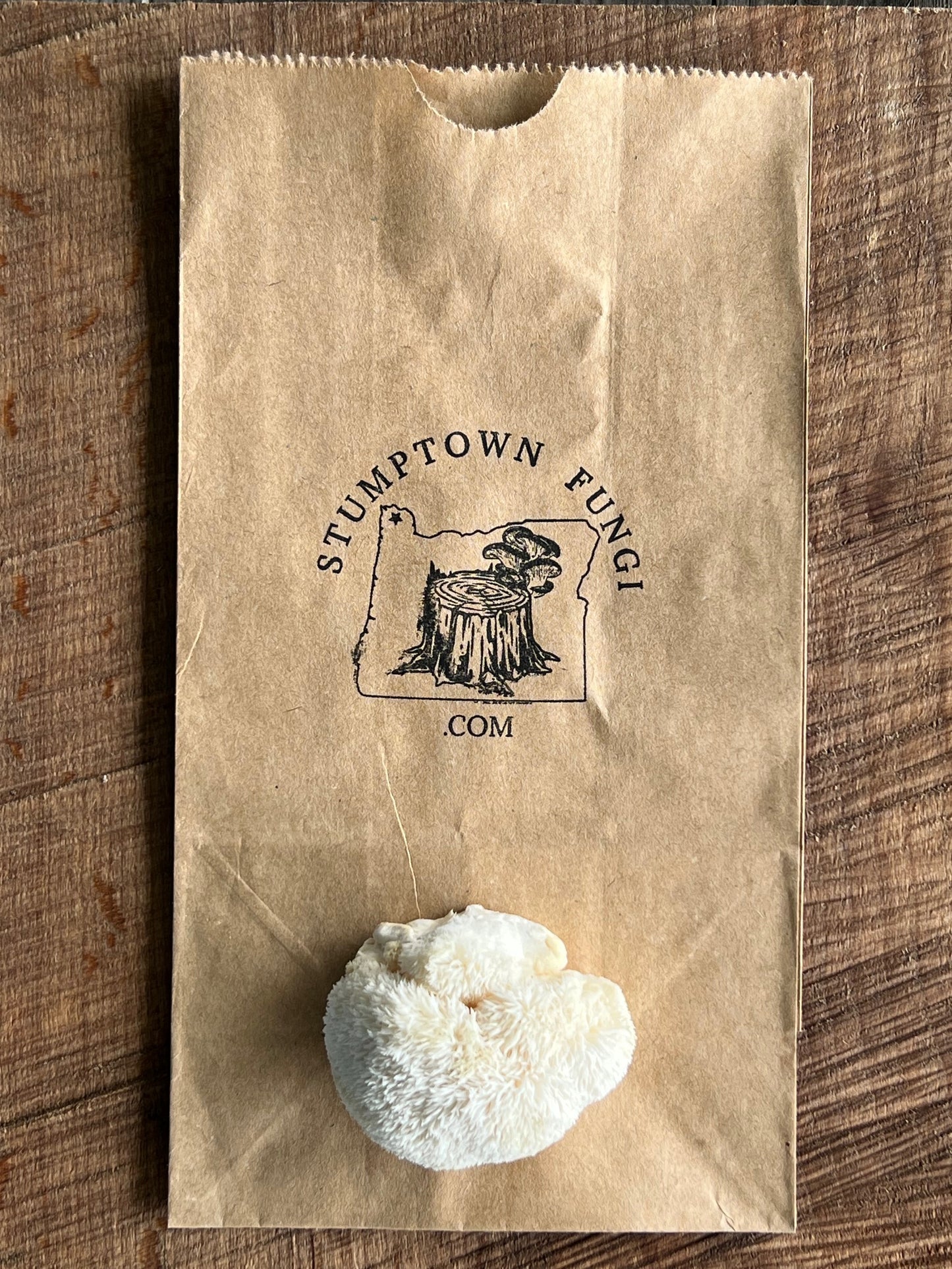Lion's Mane Miso Soup