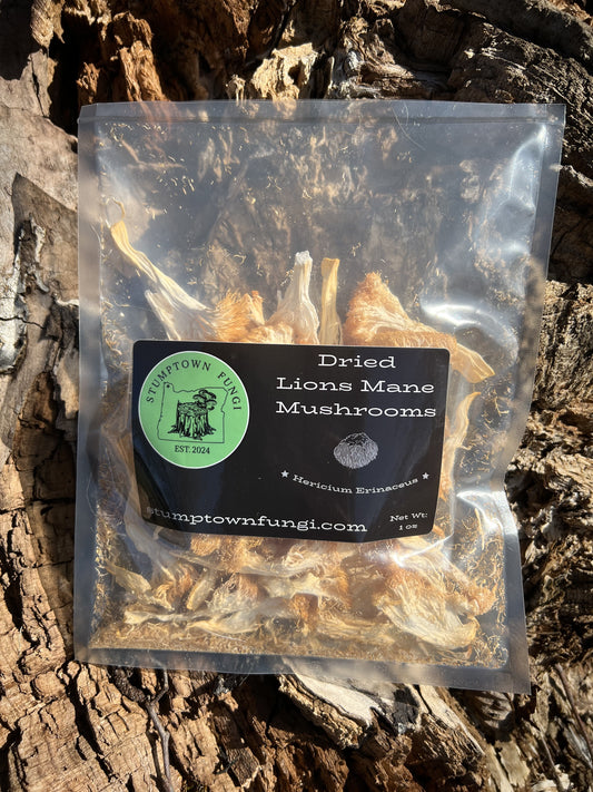 Dried Lion's Mane Mushrooms